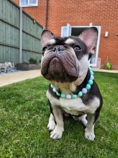 Collier de perles pour chien fuchsia