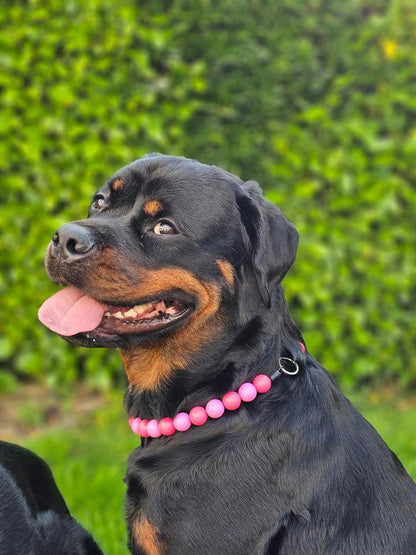 Collier de perles pour chien fuchsia